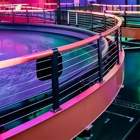 Mercury Elegant By Buena Vista *