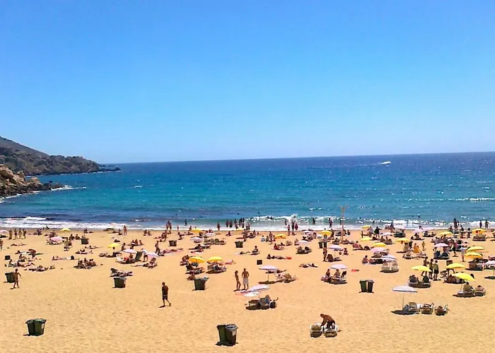 Mercury Elegant By Buena Vista *