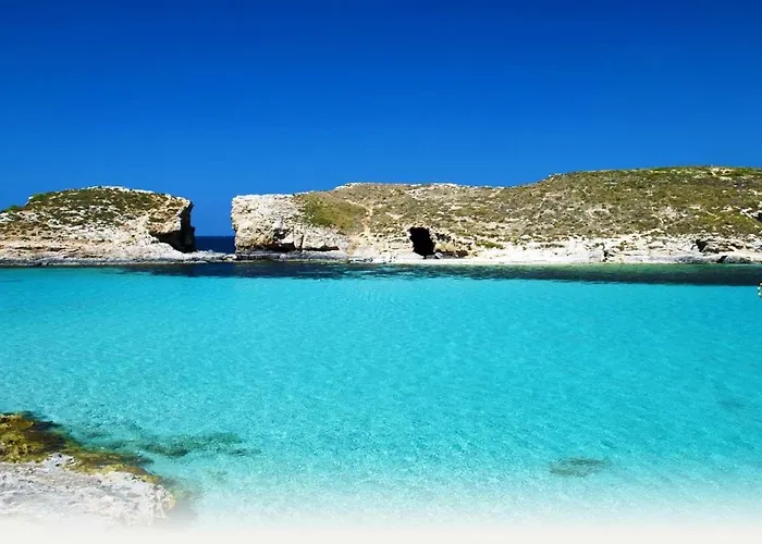 Mercury Elegant By Buena Vista